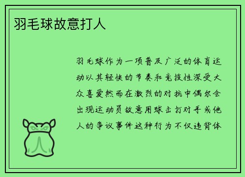 羽毛球故意打人