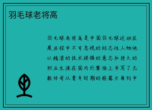 羽毛球老将高